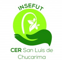 INVESTIGANDO Y SEMBRANDO FUTURO(INSEFUT)