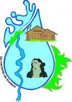 REFORESTANDO-ANDO