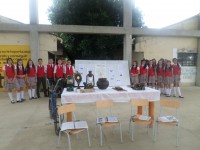 EXPLORADORES DE LA CULTURA