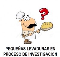 PEQUEÑAS LEVADURAS EN PROCESO DE INVESTIGACION