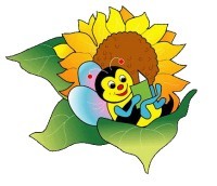ANGELITOS ECOLOGISTAS