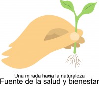 SALUD CON LAS PLANTAS