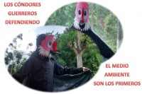 Cóndores de Cachira