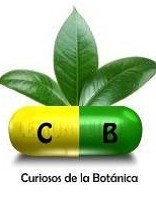CURIOSOS DE LA BOTÁNICA