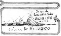 BAJOTERR@S ORVECO