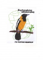 EXPLORADORES CELEDONISTAS