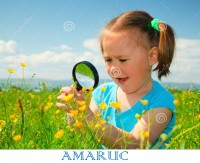 Amaruc. El lenguaje de las Ciencias.