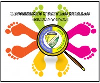 RECORRIENDO NUESTRAS HUELLAS COLCAJUTISTAS