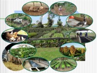 BIOAGROPECUARIOS