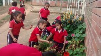 INVESTIGANDO LAS PLANTAS CON AMPARO