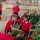 INVESTIGANDO LAS PLANTAS CON AMPARO