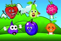ECOFRUTY