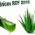 botanicos col roy