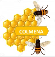 Grupo de Investigación -COLMENA-