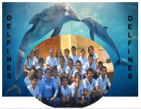 DELFINES