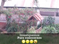 INVESTIGUEMOS PARA CONOCERNOS