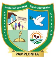 INSTITUCION EDUCATIVA RURAL GUAYABALES