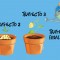 Trayecto de la indagacion futuros horticultores
