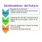 mapa conceptual