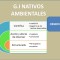 MAPA CONCEPTUAL
