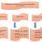 MAPA CONCEPTUAL BT6