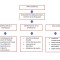 MAPA CONCEPTUAL BT6